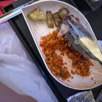 THY Yemekten Plastik Çıkması Ve Gida Zehirlenmesi