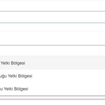 VFS Global Polonya Randevu Alınamıyor