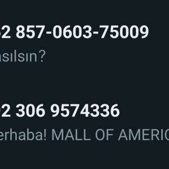 WhatsApp'tan Yabancı Numaraların Mesaj Atıp Araması