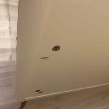 Kelebek Mobilya Montaj Ve Arızalı Ürünler