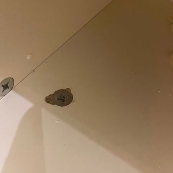 Kelebek Mobilya Montaj Ve Arızalı Ürünler