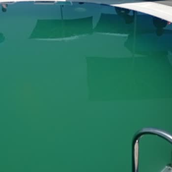 World Deluxe Sapanca Bungalov Evlerine Gitmeden Önce İki Bakin