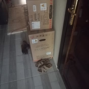 FujiPlus Teknik Servis Montaj