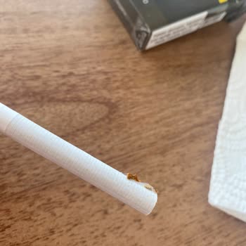 Philip Morris Sigarada Örümcek Çıktı