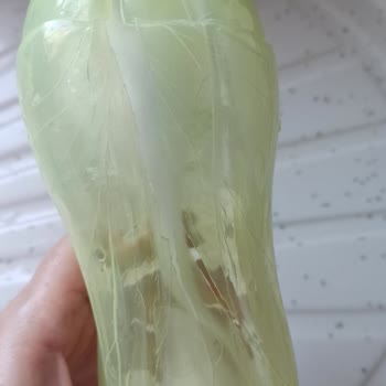 Tupperware Su Şişesi Dondurucuda Kırıldı