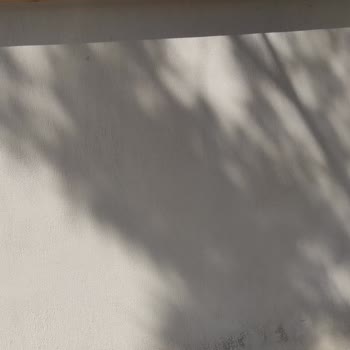 Nezahat M. Hayrettin Coşan Aile Sağlığı Merkezi Misafir Hasta Kabul Etmiyor