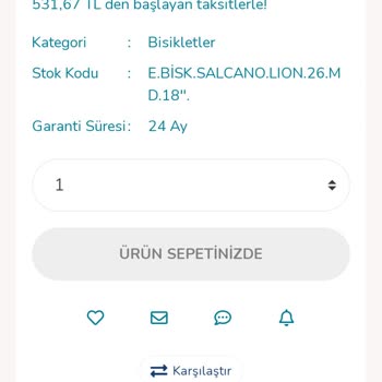 Electro Point Art Niyetli Yanıltıcı Bir Alışveriş Sitesi Mağdur Edildim