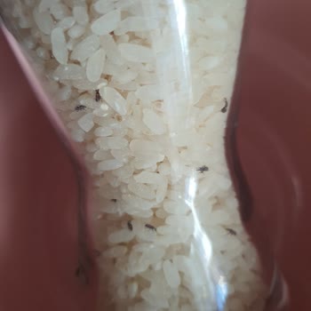 BİM Pirinç Böcekli Çıktı