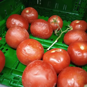 BİM Çürük Dolu Manav Reyonu