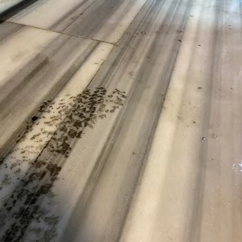 Fit Park Salon Hijyenik Değil