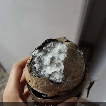 BİM'in Küflü Ürün Satışa Sunması