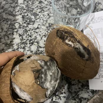 BİM'in Küflü Ürün Satışa Sunması