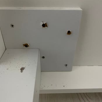 Özüer Mobilya Yemek Masası Yemek Yerken Devrildi