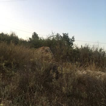 Akdeniz Elektrik Dağıtım Kopmuş Elektrik Telli