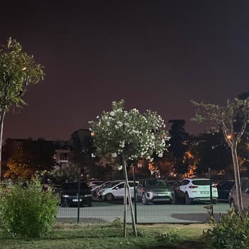 Şişli Belediyesi Feriköy Parkı Otopark Olarak Kullanılıyor