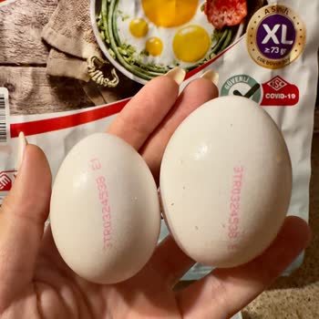 Yumurtacım Yumurtada Gramaj Hatası