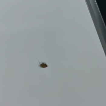 Samsun Evden Eve Nakliyat TV Bozulması