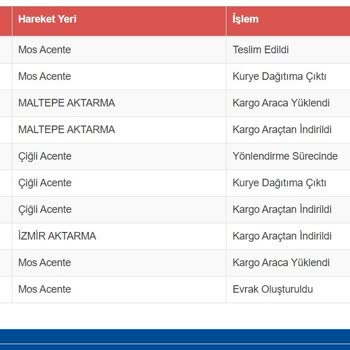Koçtaş Akıbeti Belirsiz Salıncak