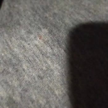 Vestel Çamaşır Makinesi Kıyafet Parçalıyor, Sözde Tamir Edildi