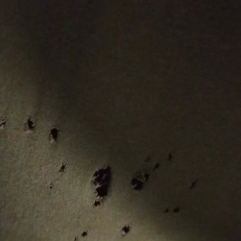 Vestel Çamaşır Makinesi Kıyafet Parçalıyor, Sözde Tamir Edildi