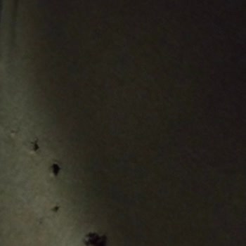 Vestel Çamaşır Makinesi Kıyafet Parçalıyor, Sözde Tamir Edildi