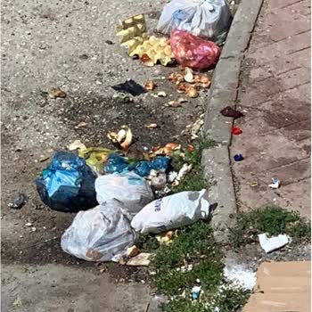 Odunpazarı Belediyesi Çöp Konteyneri Sokak Çöp Sorunu