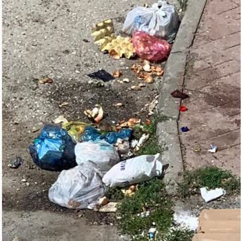 Odunpazarı Belediyesi Çöp Konteyneri Sokak Çöp Sorunu