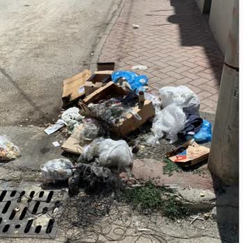 Odunpazarı Belediyesi Çöp Konteyneri Sokak Çöp Sorunu