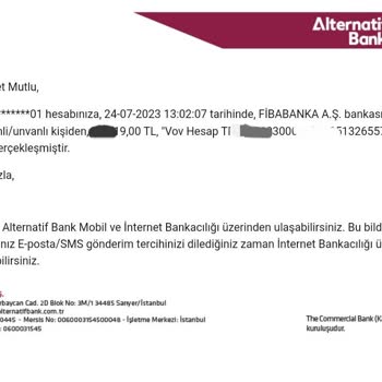 Alternatifbank Vov Hesap Hakkında