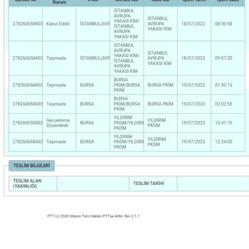 PTT Kargo Tarafından Teslim Edilmeyen Paketler Hakkında