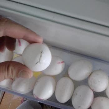 Onur Market Yumurtası Kokuyor