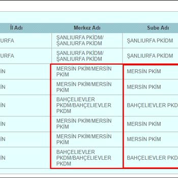 PTT Kargo PTT'NİN Kargo Taşımacılığı