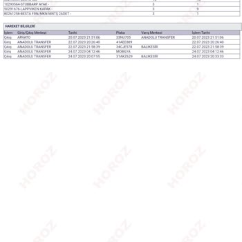 IKEA Ve Horoz Lojistik Faciası