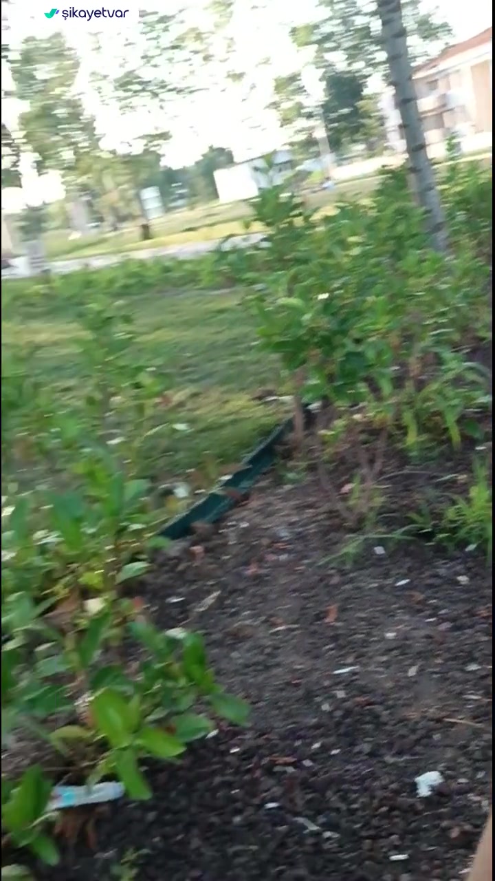 Serdivan Belediyesi Çöp Dolu Park videonun kapak resmi