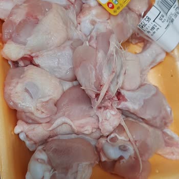Erpiliç Tavuk İncikte Tüylerin Durması