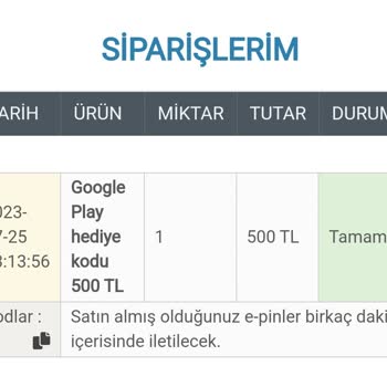 epin.com.tr E-pin Kod Teslimatı Yapmıyor