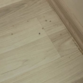 Daikin Klima Vakum Yapmadılar
