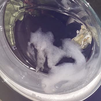 Vestel 108222 Çamaşır Makinesi Şikayet