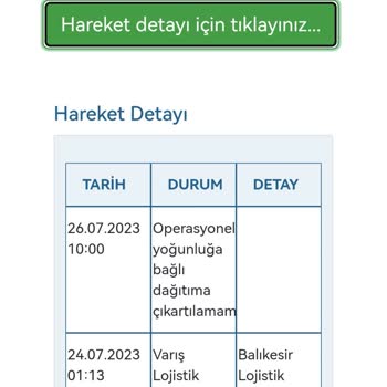Borusan Lojistik Ürünlerin Teslim Edilmemesi