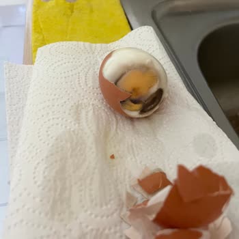 M Life Organik Yumurta Bozuk