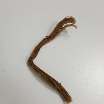 Doğuş Çay Paketinden Çıkan Sürpriz!