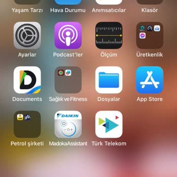 Chippin Den Verilmeyen Para Puanlar