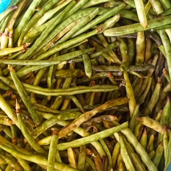 PTT Kargo Bozulabilir Madde Uyarılı Kargomu Zamanında Teslim Etmedi