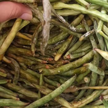 PTT Kargo Bozulabilir Madde Uyarılı Kargomu Zamanında Teslim Etmedi