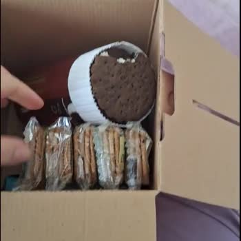 Özensiz Ülker Davranışı