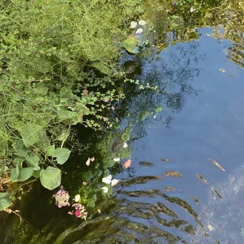 DSİ (Devlet Su İşleri) Güzelçamlı'yı Terk Etmiş Durumda