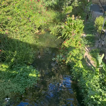 DSİ (Devlet Su İşleri) Güzelçamlı'yı Terk Etmiş Durumda