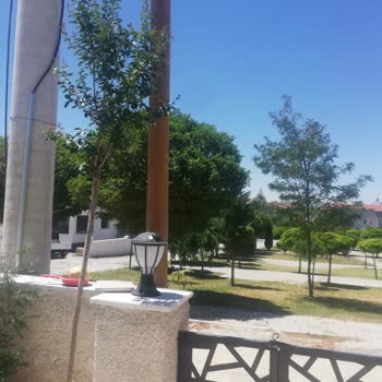 Türk Telekom Evimin Önüne Kapısına Direk