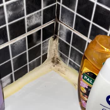 Tatilbudur.com Ve Pemar Beach Resort Pişmanlığı