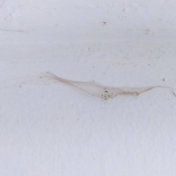 Zehra Hotels & Villas Memnuniyetsizliği